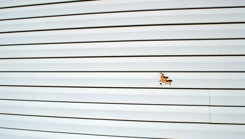 Vinyl Siding Hole Repair